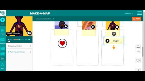 Maps Video BrainPOP 的图像结果
