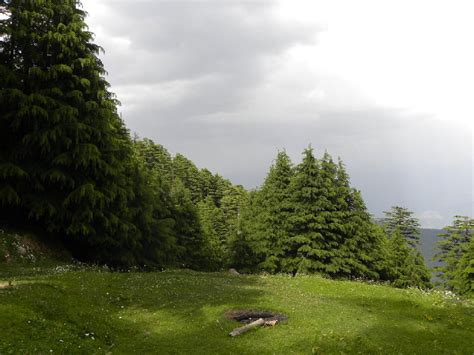 Kalatop Wildlife Sanctuary: Himachal Pradesh Travel Guide | Flamingo ...