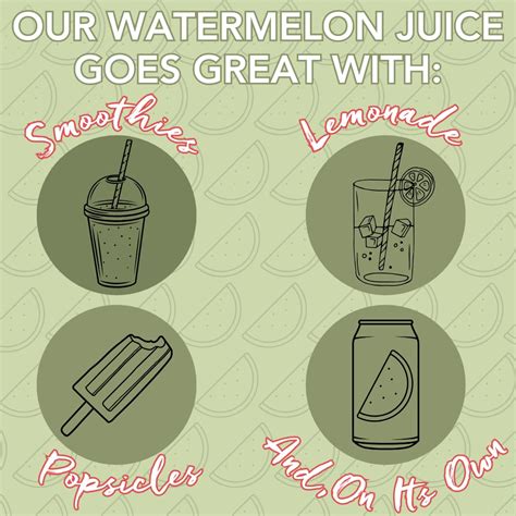 CocoJoy CoCo Joy 100% Natural Watermelon Juice, (12-Pack) India | Ubuy