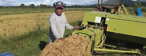 How Amazon and IIT Roorkee are converting farm waste into recyclable packaging - About Amazon India