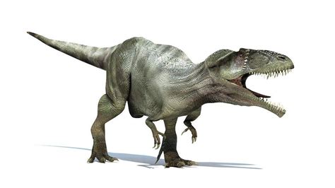 2020巨型蜥脚类恐龙排行榜（最终篇） - 知乎