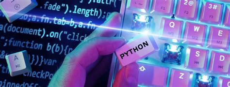 Image result for Python Application Made Example
