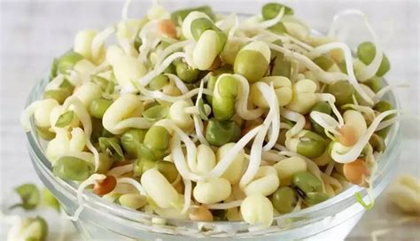 6 Least Known Health Benefits of Consuming Sprouts - lifeberrys.com