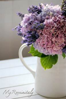 ortensie in vaso my roseinitaly un bouquet di ortensie e lavanda ortensie in vaso my roseinitaly un bouquet di ortensie e lavanda