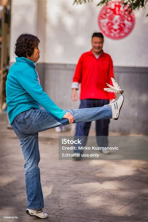 Chinese ShuttleCock 的图像结果