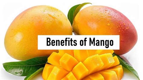 Image result for Mango Production Script Script