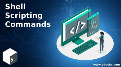 Image result for Shell Script Basic Commands