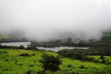 Kaas Plateau: Maharashtra’s own Valley of Flower
