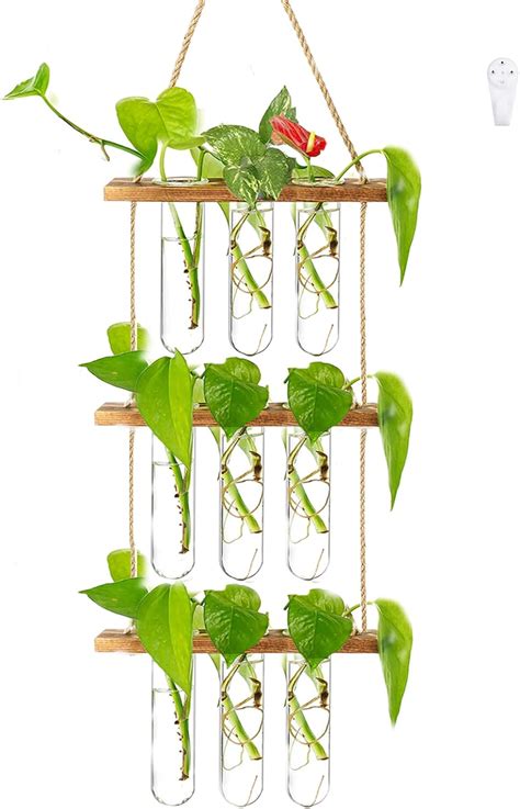 Propagation Stations Wall Hanging Brown Wood, India | Ubuy