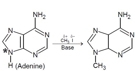 The major product in the following reaction is
