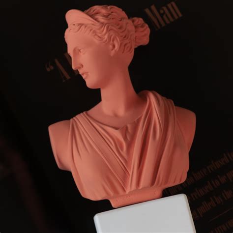 Sophia | Artemis Bust | Made in India – Mérci Dehradun