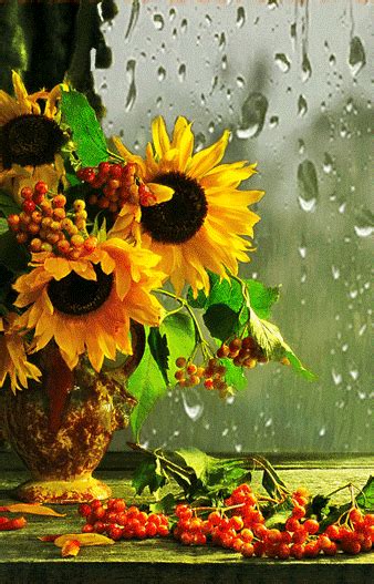 13 Samina ideas | nature photography, scenery, beautiful nature