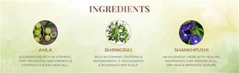 Just Herbs Ayurvedic Shirolepam Hair & Scalp Treatment Mask Cream For ...