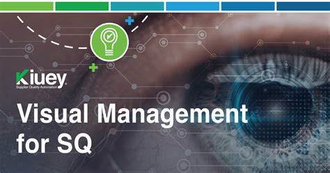 Image result for Visual Data Management