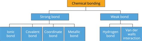 Lewis dot structure and Types of chemical bond — lesson. Science State ...