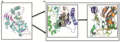 Protective Effect of l-Hexaguluroic Acid Hexasodium Salt on UVA-Induced ...