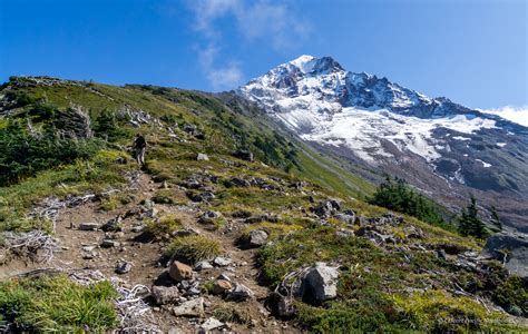 I Heart Pacific Northwest