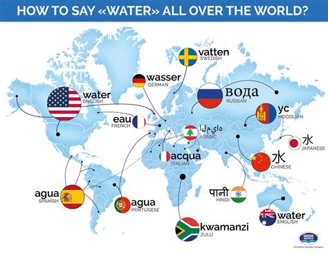 Water Bottle In Different Languages at Alicia Marcel blog