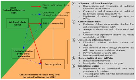 How Can India Leverage Its Botanic Gardens for the Conservation and ...