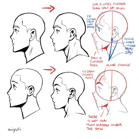 side profile drawing with hair