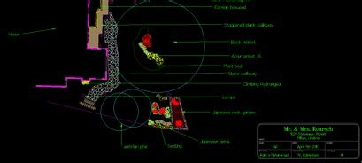 Basic DynaSCAPE Functions 的图像结果