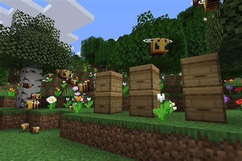 How to Get Bees in Minecraft in 2025