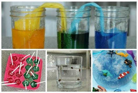 Pre-K Science Project 的图像结果