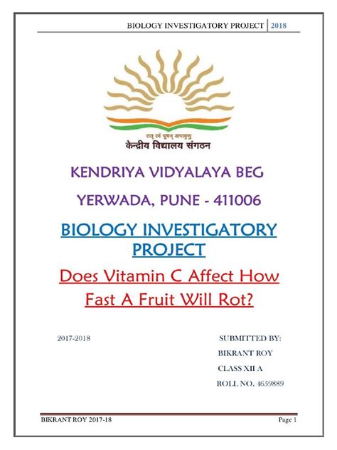 Image result for Science Project File Class 11