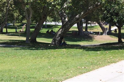 A Park a Day: Brace Canyon Park, Burbank | LAist