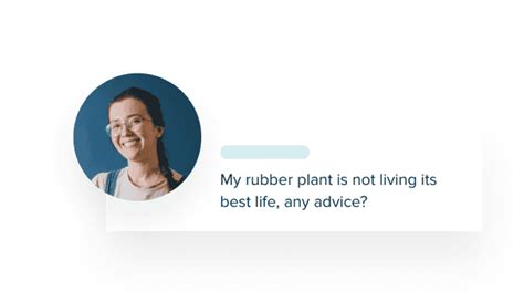 Integrate Zendesk with WhatsApp, Messenger & Instagram | Zendesk India