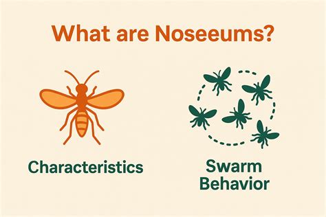 Noseeums: Identifying and How to Get Rid of Them | Pest Extinct