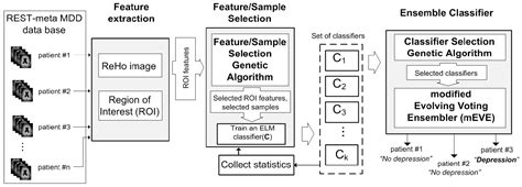 Detection of Major Depressive Disorder from Functional Magnetic ...