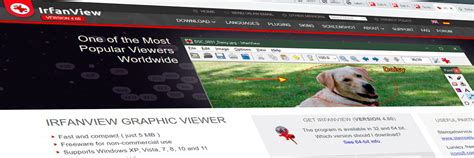 Image result for IrfanView First Marriage