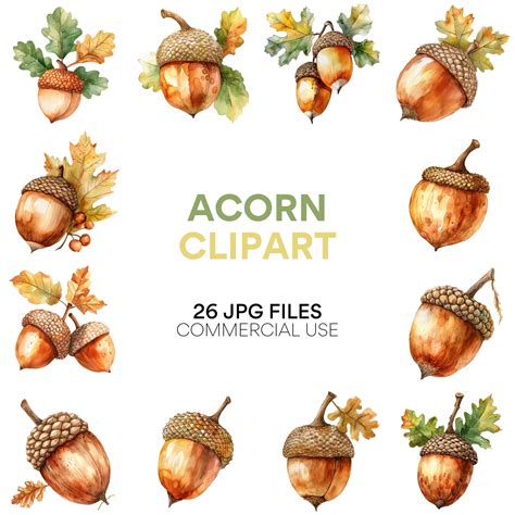 Acorn Clipart, Watercolor Autumn Leaves, Oak Fall Clipart, Digital ...