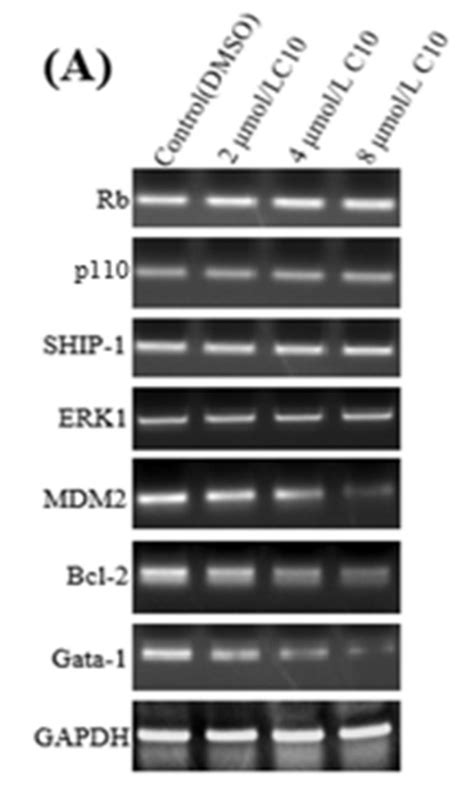 Fli-1 Activation through Targeted Promoter Activity Regulation Using a ...