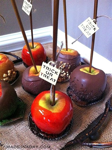 Fall Candy 的图像结果