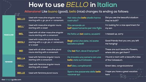 Bene, Bravo, Bello, Buono in Italian: What’s the difference? [PDF Cheat ...