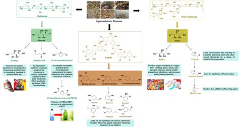 CSIR-National Chemical Laboratory Faculty