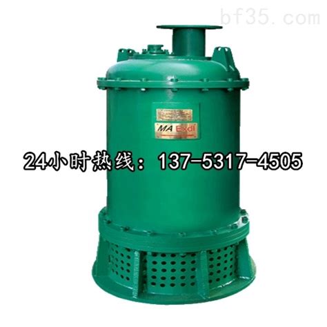 高扬程潜水排污泵BQS80-80/2-37/N大庆品牌-环保在线
