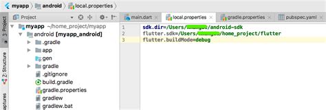 Flutter SDK Path Not Found Android Studio 2020.3 的图像结果