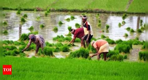Flagship agriculture scheme to benefit 1,997 panchayats in Tamil Nadu ...
