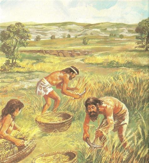 Neolithic Farming 的图像结果