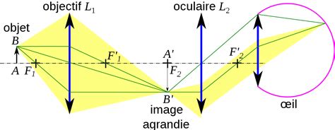 Image result for Microscope Schema Optique
