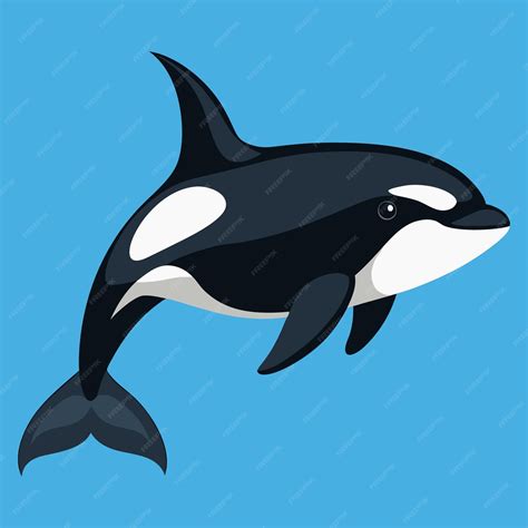 Killer Whale clipart vector illustration | Premium AI-generated vector