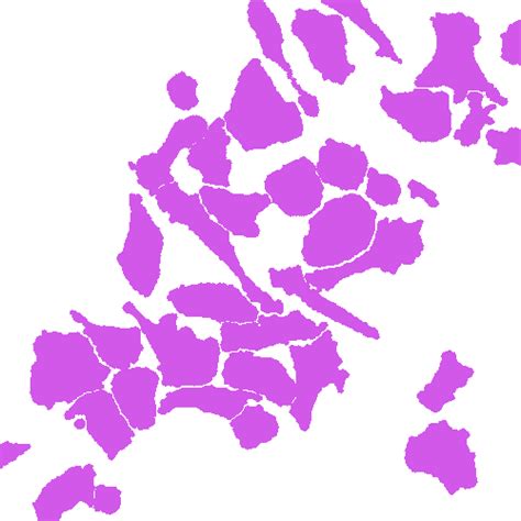 Annotated Quantitative Phase Microscopy Cell - Dataset Ninja