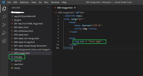 How to Show Image in HTML 的图像结果