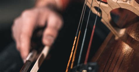 A String is the Thing String Instrument Performances 的图像结果