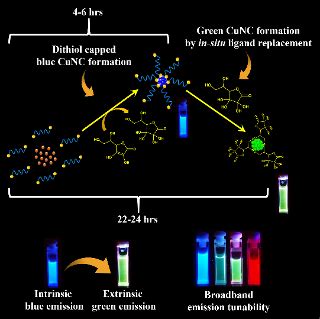 Home [sites.iiserpune.ac.in]