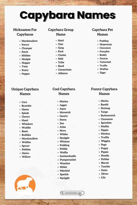 120+ Unique Cool Male and Female Capybara Names