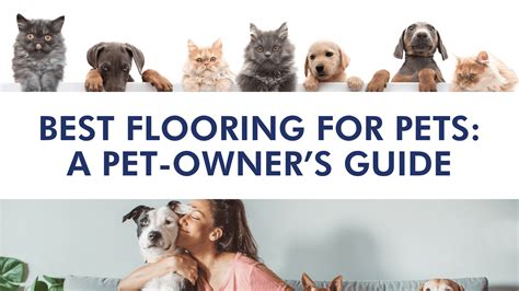 Best Flooring For Pets Urine at Richard Peay blog